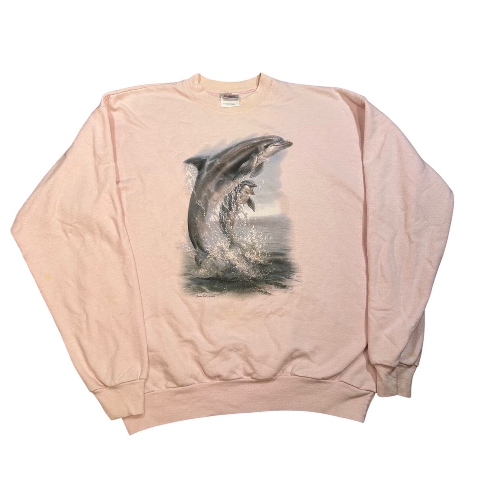 *Stains* Hanes Heavyweight Pink Graphic Dolphin Sweatshirt Coquette L Women